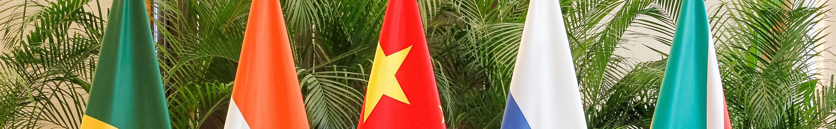 section of BRICS flags in front of plants